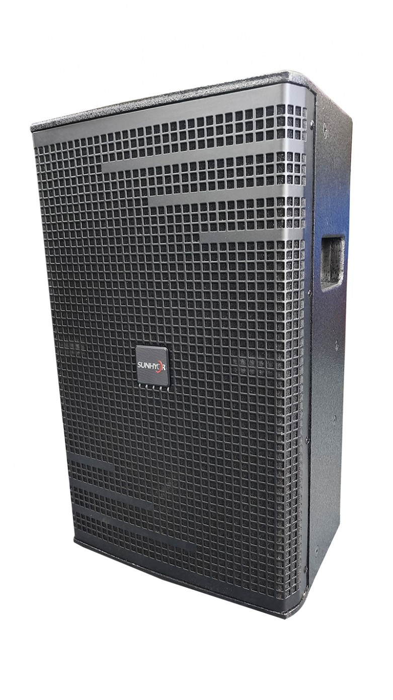 Professional audio speaker 12 inch