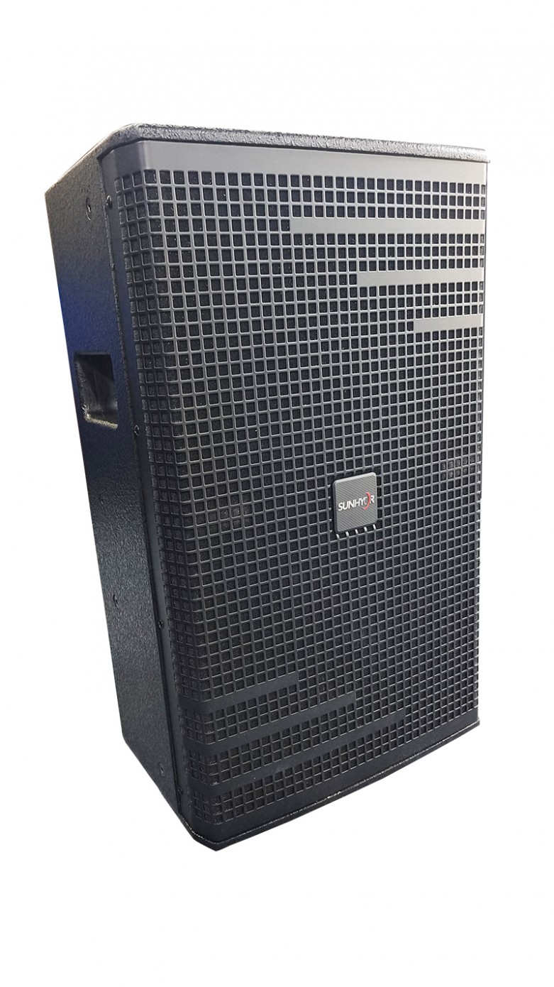 Outdoor Indoor Activity 12 inch professional speaker