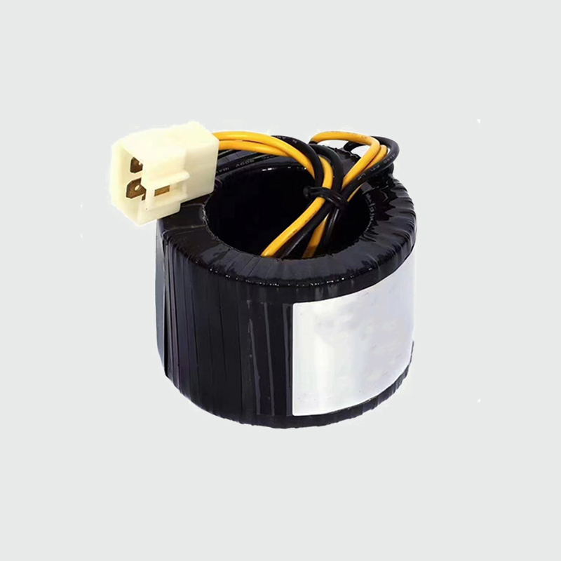 ​AC 220v to 12v 24v toroidal transformer 1000W