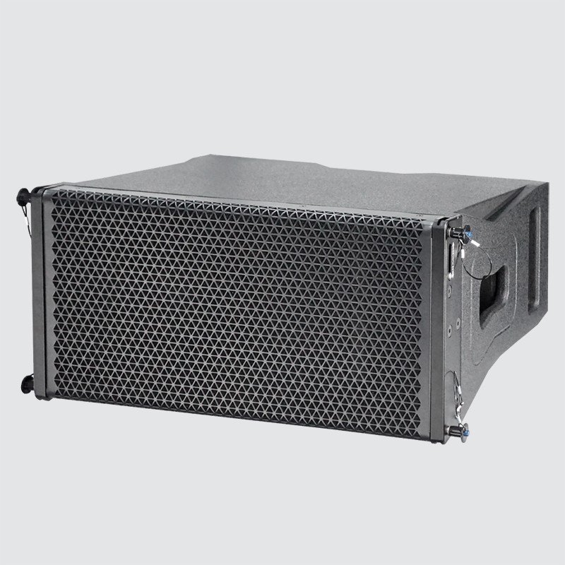 LAS10 Pro Speaker